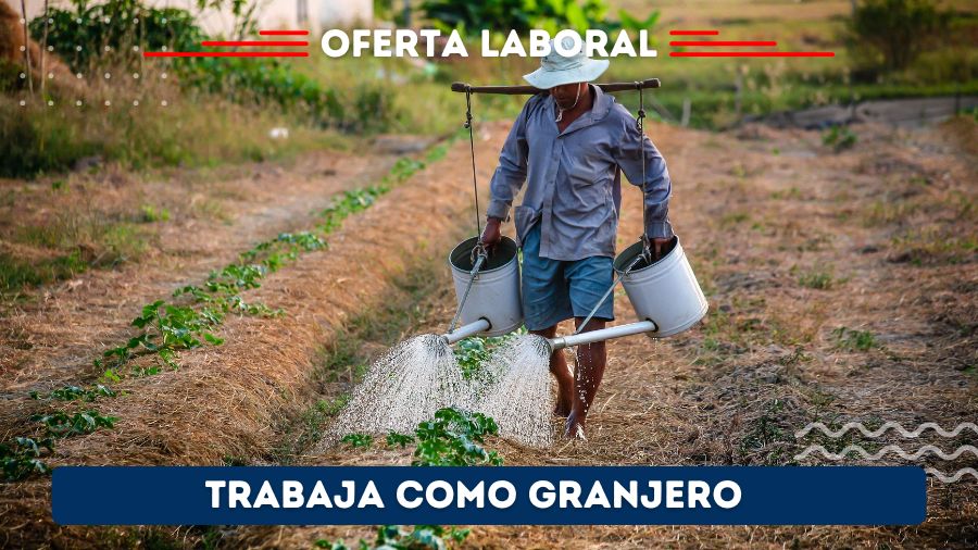 Se Busca Granjero para Inicio Inmediato