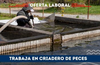 Oportunidad de empleo en criadero de peces