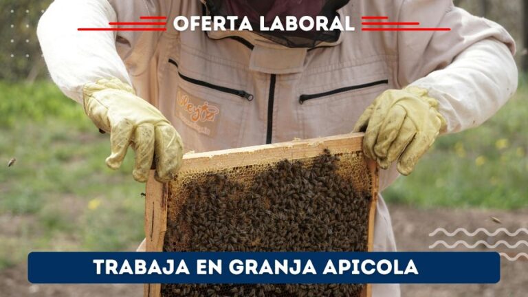 Se requiere personal para granja de abejas